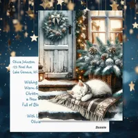 Kitten Asleep on Festive Front Porch Christmas Postcard