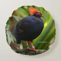 Profile of a Roul-Roul Crested Wood Partridge Round Pillow