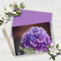 Budget Lavender Purple Hydrangea