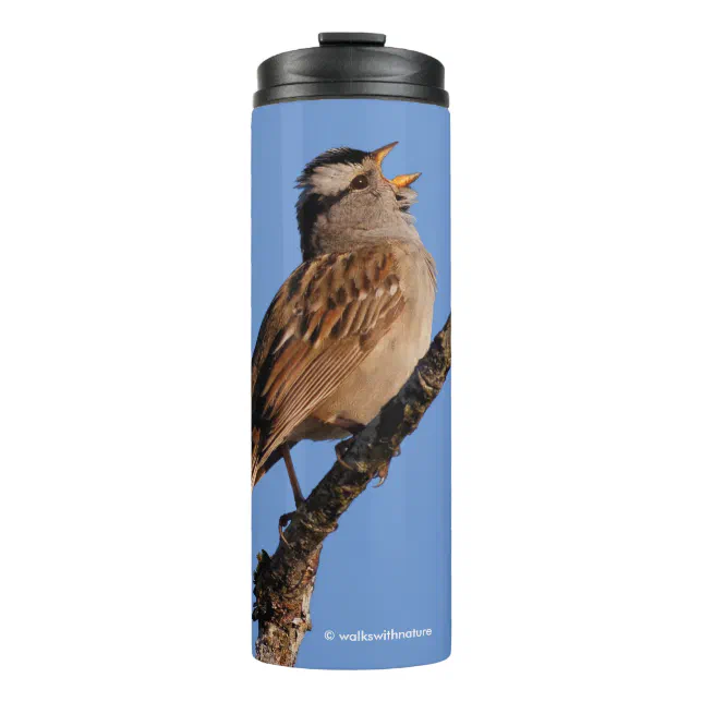 White-Crowned Sparrow Sings a Morning Aria Thermal Tumbler