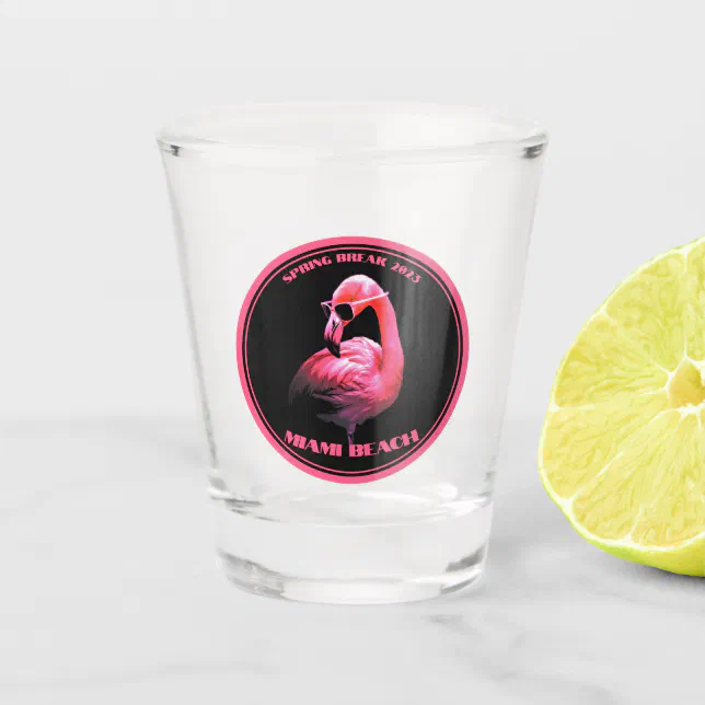 Spring Break Miami Beach Flamingo Sunglasses Shot Glass