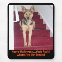 Halloween Dog and No Treats Mouse Pad