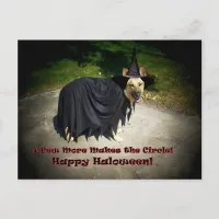 German Shepherd Witch Dog Postcard