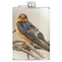 Trading Stares with a Barn Swallow Flask