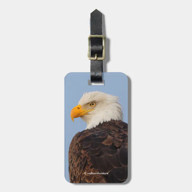 Beautiful Bald Eagle in a Tree Luggage Tag