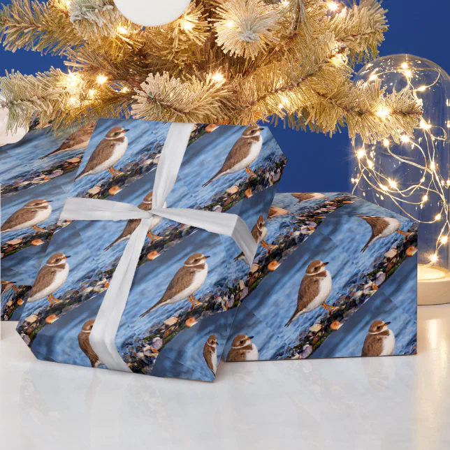 Beautiful Semipalmated Plover at the Beach Wrapping Paper