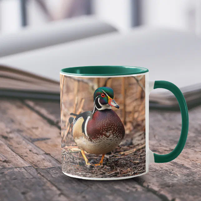 Stunning Wood Duck Walking the Woods Mug