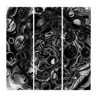 Black and White Infinity Triptych
