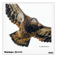 Stunning Bald Eagle Does a Flyover Wall Sticker