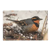 Stunning Varied Thrush Songbird in the Snow Placemat