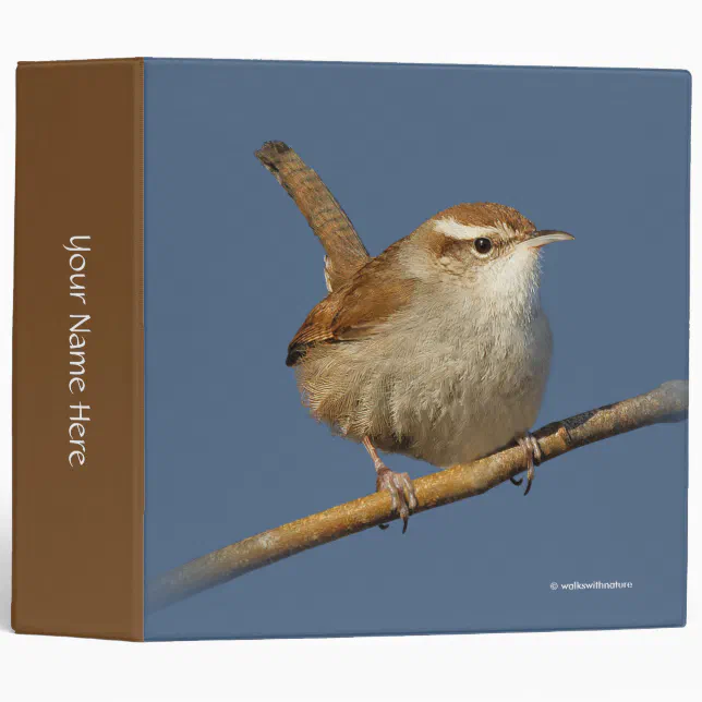 A Curious Bewick's Wren in the Tree Binder