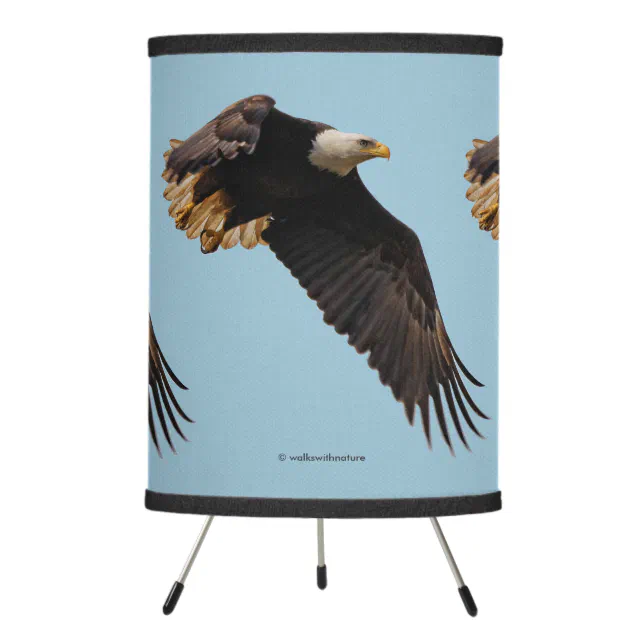 A Bald Eagle Takes to the Sky Tripod Lamp