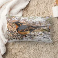 Beautiful Varied Thrush Songbird on Snowy Ground Lumbar Pillow