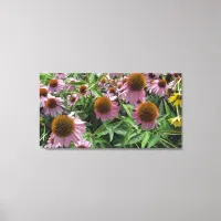 Echinacea Cone Flowers in Purple and Yellow Canvas Print