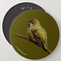 Anna's Hummingbird on Scarlet Trumpetvine Pinback Button