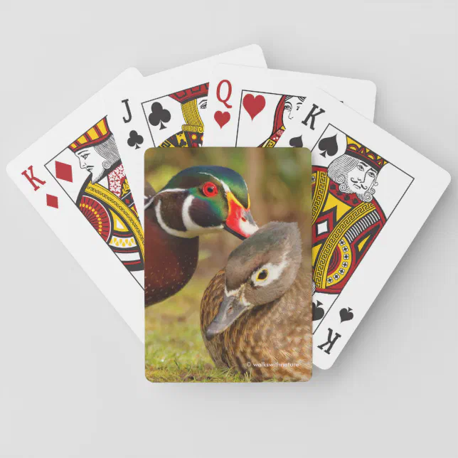 A Beautiful Touching Moment Between Wood Ducks Poker Cards