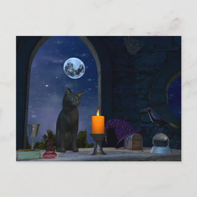 Cute Black Cat Staring at a Candle Postcard