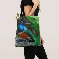 A Stunning African Superb Starling Songbird Tote Bag