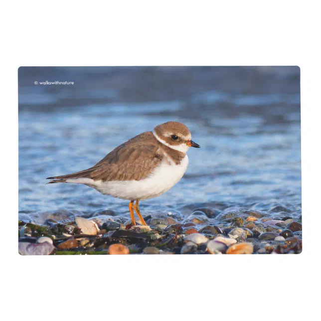 Beautiful Semipalmated Plover Sandpiper at Beach Placemat