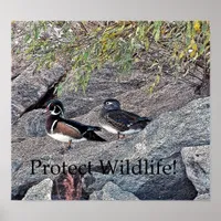 Protect Wildlife Poster