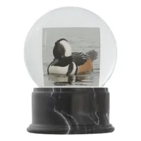 Stunning Hooded Merganser Duck at the Pond Snow Globe