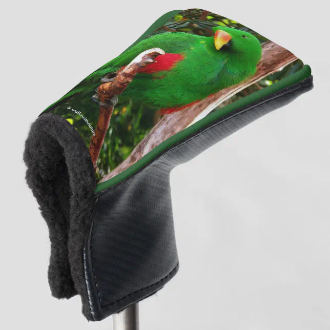 "The Green Orator" Eclectus Parrot Golf Head Cover