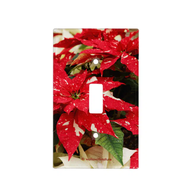 Festive Red White Floral Poinsettias Light Switch Cover