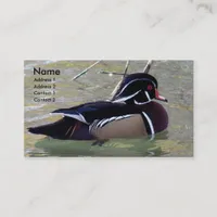 Wood Duck Drake Business Card