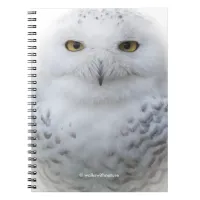 Beautiful, Dreamy and Serene Snowy Owl Notebook