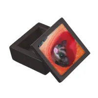 Sugar Glider in Orange Hanging Bed Keepsake Box