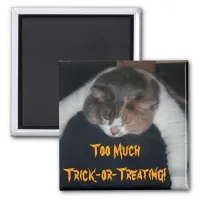 Too Much Trick-or-Treating! Magnet