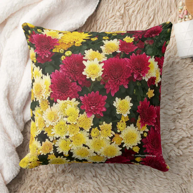 Stunning Red Gold Autumn Chrysanthemum Flowers Throw Pillow