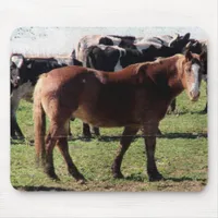 Belgian Horse and Dairy Cattle Mouse Pad