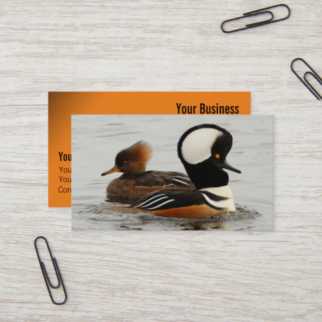 A Meeting of Hooded Mergansers Business Card