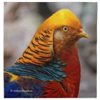 Profile of a Red Golden Pheasant Napkin