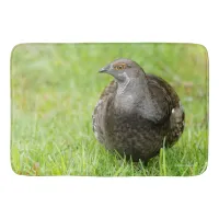 Beautiful Sooty Grouse in the Grass Bath Mat