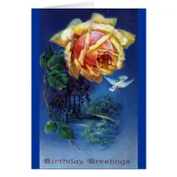 Dark Blue Background Rose and Dove Postcard