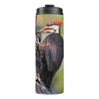 Beautiful Pileated Woodpecker on the Tree Thermal Tumbler