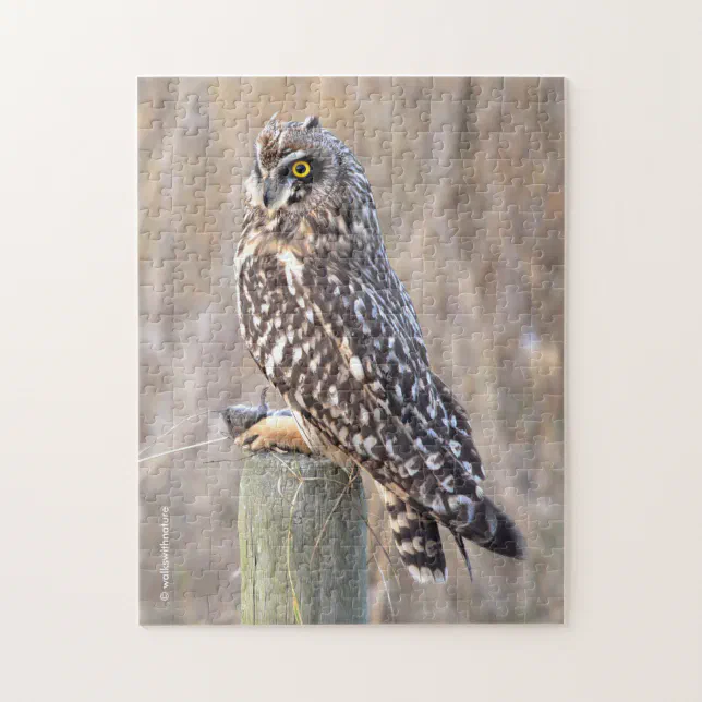 Short-Eared Owl with Vole Jigsaw Puzzle