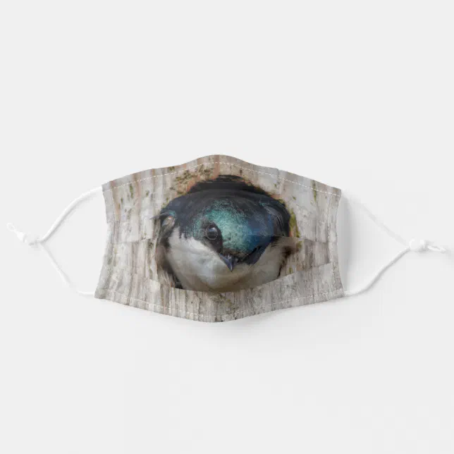 Tree Swallow Songbird in Nestbox Adult Cloth Face Mask