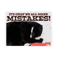 We All Make Mistakes Encouragement Cat  Magnet