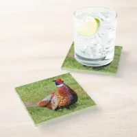 Profile of a Ring-Necked Pheasant Glass Coaster