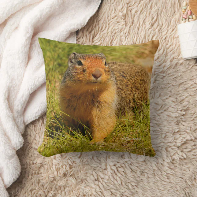 Cute Funny Curious Columbian Ground Squirrel Throw Pillow