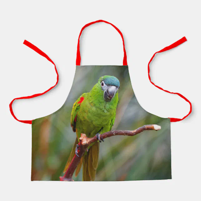 Cute Hahn's Red Shouldered Mini Macaw Parrot Bird Apron