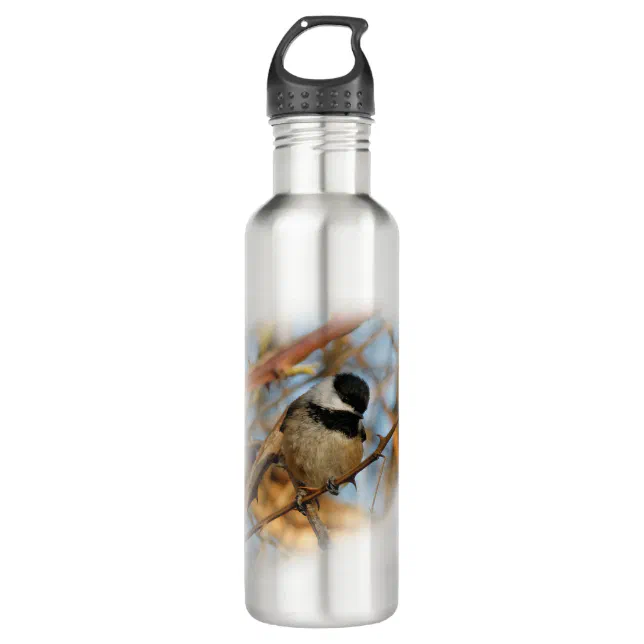 Cute Hopeful Black-Capped Chickadee Songbird Stainless Steel Water Bottle