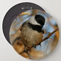 Cute Hopeful Black-Capped Chickadee Songbird Pinback Button