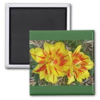 Yellow with Red Striped Flower Magnet