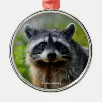 Face to Face with a North American Raccoon Metal Ornament