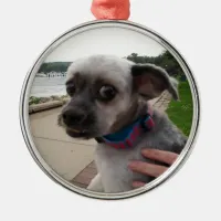 Add your Dog's Photo to this Ornament