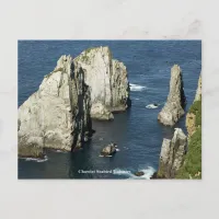 Chowiet Seabird Colonies, Alaska Postcard